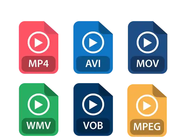 mp4, AVI, MOV, WMV, VOB, MPEG