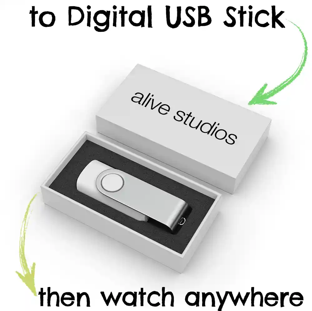 to digital USB stick